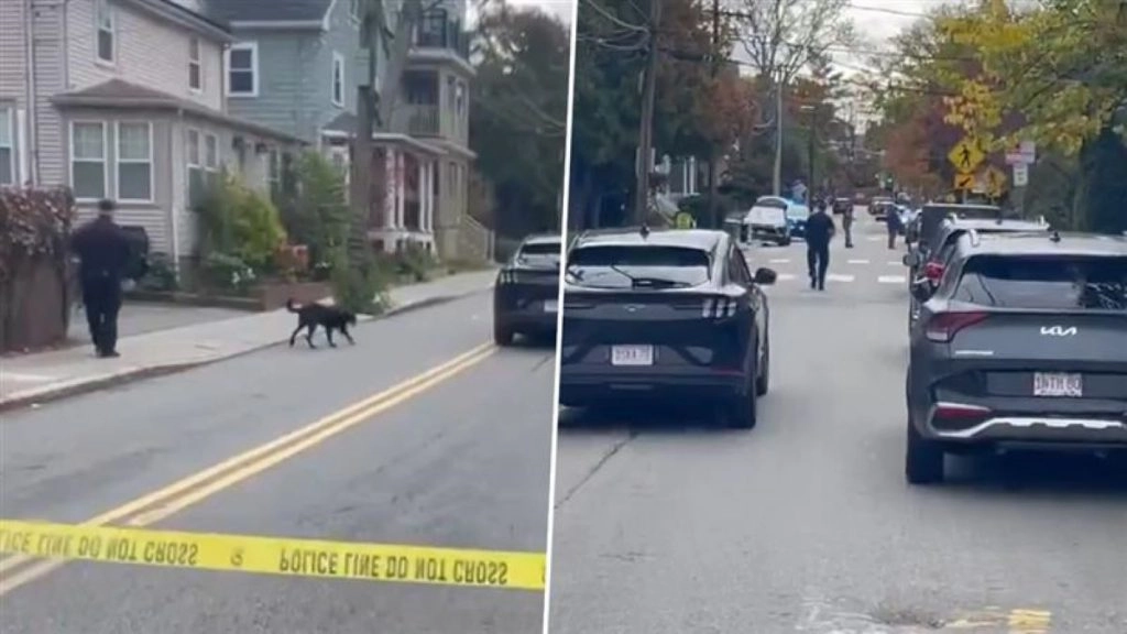 अमेरिका की हार्वर्ड यूनिवर्सिटी के पास फायरिंग