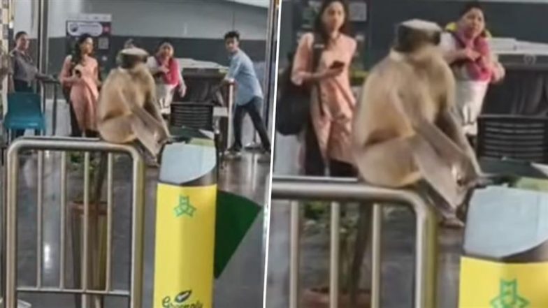 Viral Video: मुंबई मेट्रो में बंदर की &lsquo;एंट्री&rsquo;, लोअर ओशिवारा स्टेशन पर टिकट स्कैनर पर जमाया डेरा