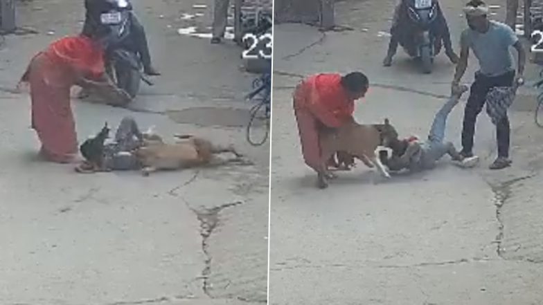 Pitbull Attacks Child: दिल्ली में 6 साल के बच्चे पर पिटबुल ने किया जानलेवा हमला, मासूम का कान काटकर कर दिया अलग, दिल्ली का VIDEO देखकर कांप जाएगी रूह