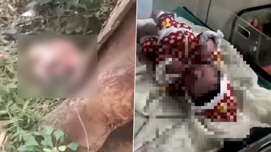आगरा जिले के सीएचसी के पास झाड़ियों में नवजात को फेंका. 