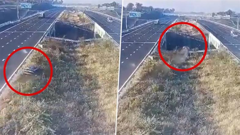 Delhi-Mumbai Expressway Accident: दिल्ली-मुंबई एक्सप्रेसवे हादसा! तेज रफ्तार कार खाई में गिरी, 5 की दर्दनाक मौत