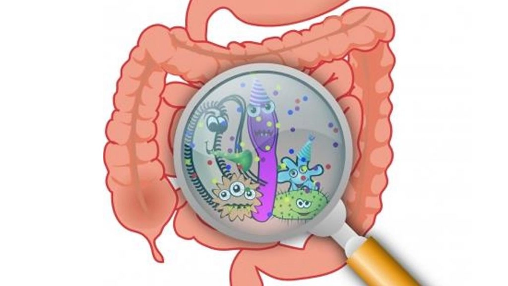 Microbiome: आपकी आंत में छिपा 'सेकंड ब्रेन' कैसे तय करता है आपका मूड और इम्यूनिटी