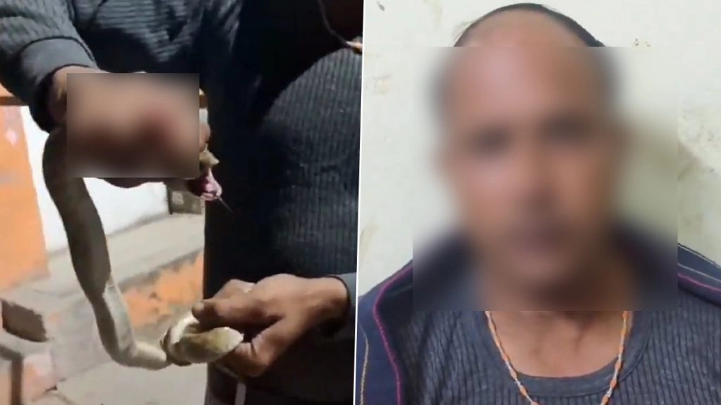 बिजनौर में सांप के डसने के बाद सांप को हॉस्पिटल लेकर पहुंचा शख्स.