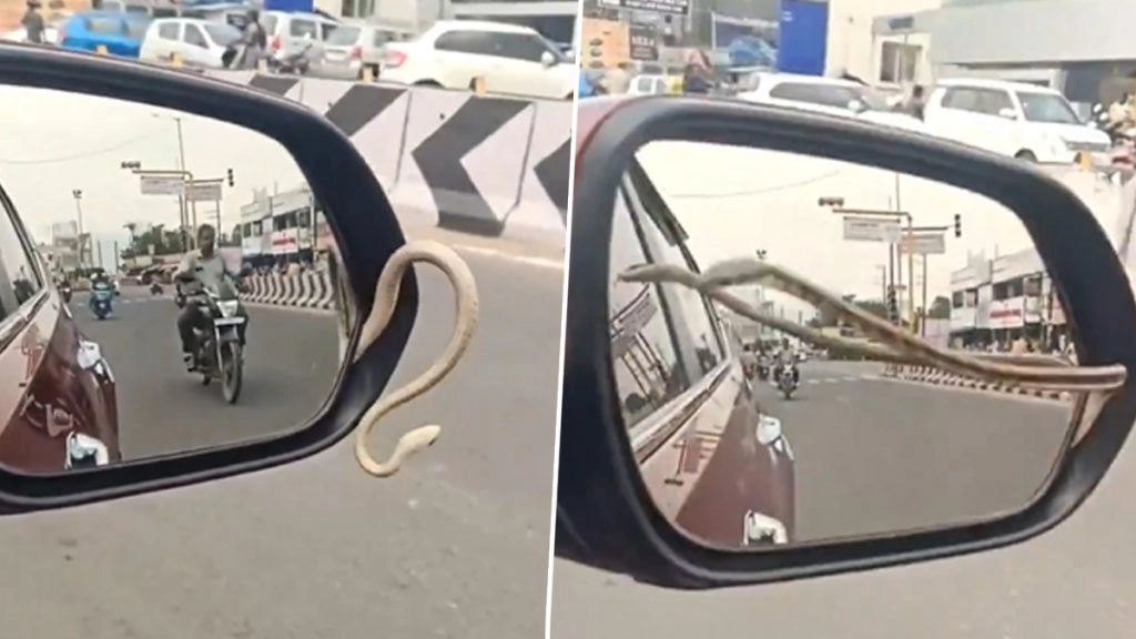 तमिलनाडु के नामक्कल सेलम रोड पर चलती कार के साइड मिरर से निकला सांप.