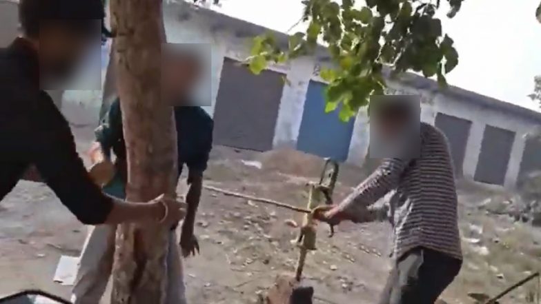 VIDEO: बुलंदशहर में तालाब से मछली पकड़ने के आरोप में तीन लोगों ने युवक को पेड़ से बांधकर बेरहमी से पीटा, FIR दर्ज
