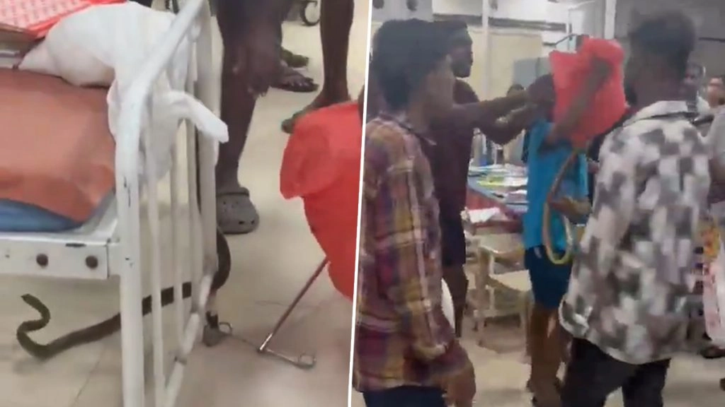 ठाणे के सिविल हॉस्पिटल में सांप लेकर पहुंचा युवक.