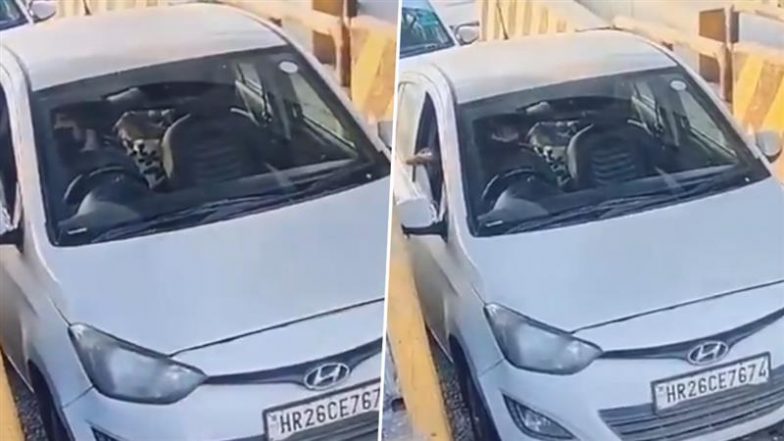 Delhi Red Fort Car Blast: अल-फलाह यूनिवर्सिटी के हॉस्टल के रूम नंबर 13 में रची थी लाल किला ब्लास्ट की साजिश, टोल नाके के सीसीटीवी में कैद हुआ सुसाइड बॉम्बर डॉ उमर नबी
