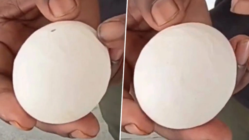 बलरामपुर जिले में दो अंडे लेकर पुलिस चौकी पहुंचा शख्स. पुलिस से कहा एक अंडा है नकली.