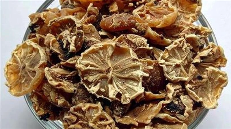 बाल झड़ने की समस्या से छुटकारा दिला सकता है कपूर कचरी, जान लें इस्तेमाल करने का तरीका