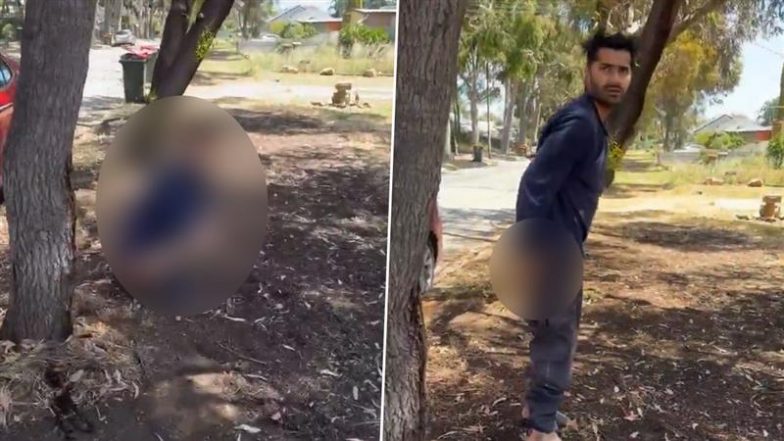 Australia: ऑस्ट्रेलिया के एडिलेड में सड़क किनारे शौच करते युवक से निवासी की भिड़ंत, वीडियो वायरल