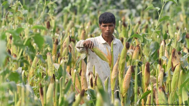 भारत में यूरिया की मांग बढ़ी, घरेलू उत्पादन पीछे छूटा