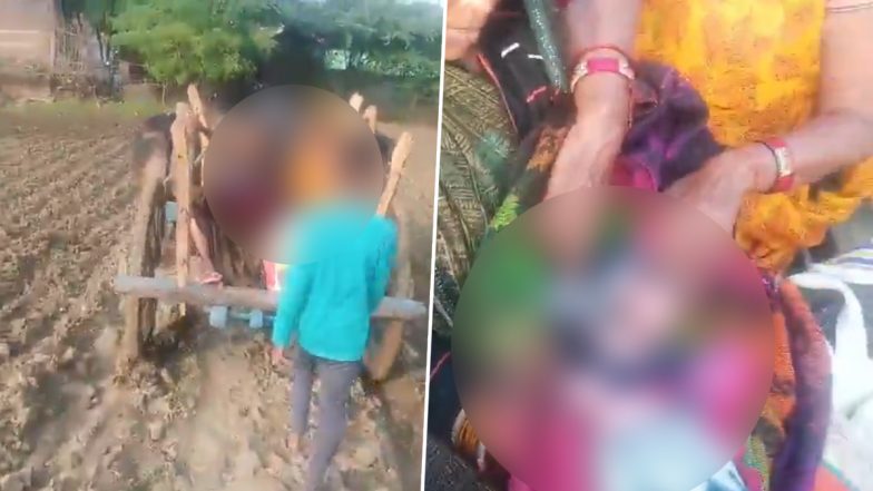 Jhansi: कच्चे रास्ते से प्रसूता को बैलगाड़ी से ले जाना पड़ा सड़क तक, एम्बुलेंस के लिए तय किया 3 किलोमीटर का सफर, झांसी जिले के VIDEO ने खोली विकास की पोल