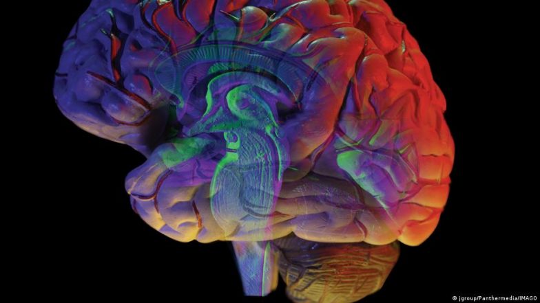 क्या नए &lsquo;ब्रेन एटलस&rsquo; से आसान हो जाएगा अल्जाइमर और मिर्गी का इलाज?