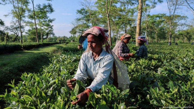 ट्रंप के किस कदम से भारतीय किसानों को हो सकता है फायदा
