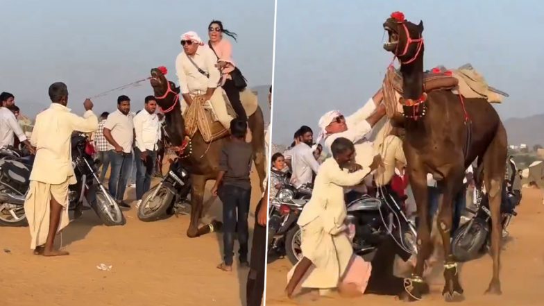 Viral Video: ऊंट की सवारी करते समय कपल गिरा, सोशल मीडिया पर वायरल हुआ वीडियो, देखकर आ जाएगी हंसी