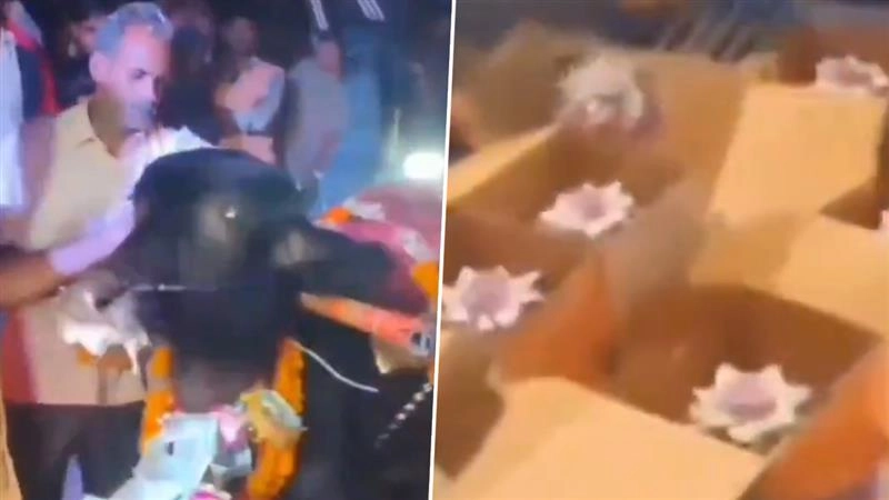 Viral Video: यूपी के अमरोहा में ग्रामीणों ने 2 साल की भैंस का मनाया जन्मदिन, डीजे और शानदार दावत पर खर्च किए लाखों रुपए