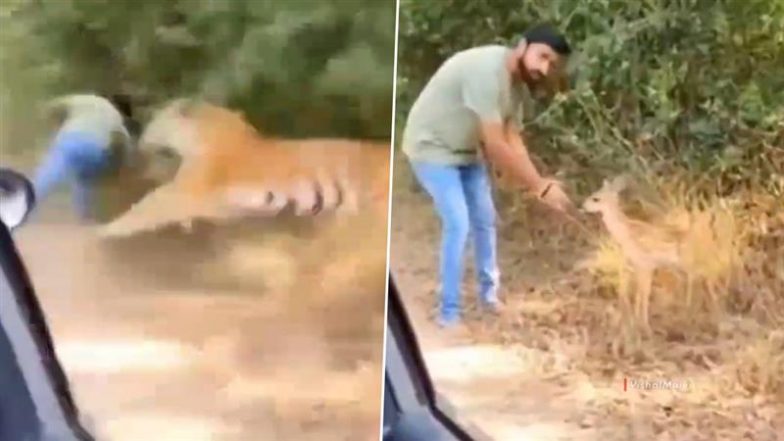 Viral Video: हिरण के साथ मस्ती करते हुए वीडियो बनवा रहा था शख्स, तभी झाड़ियों से निकल आया चीता और फिर...