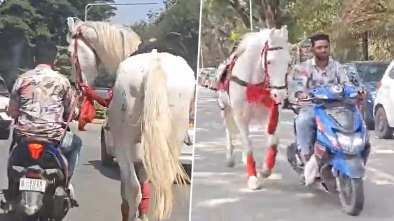 VIDEO: बैंगलुरु में बेजुबान जानवर के साथ क्रूरता, रील बनाने के लिए दो युवकों ने स्कूटी के पीछे घोड़े को रस्सी से बांधकर दौड़ाया, VIDEO वायरल होने पर लोग भड़के