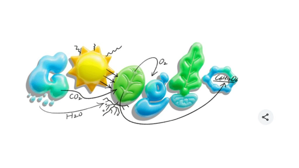 ‘फोटोसिंथेसिस’ को लेकर गूगल ने बनाया एनिमेटेड डूडल, जानें प्रकाश संश्लेषण की इस प्रक्रिया के बारे में