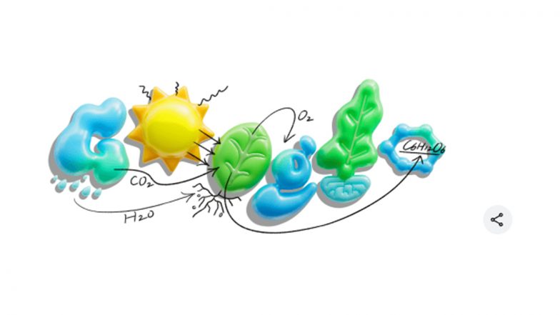Learning About Photosynthesis Google Doodle: &lsquo;फोटोसिंथेसिस&rsquo; को लेकर गूगल ने बनाया एनिमेटेड डूडल, जानें प्रकाश संश्लेषण की इस प्रक्रिया के बारे में