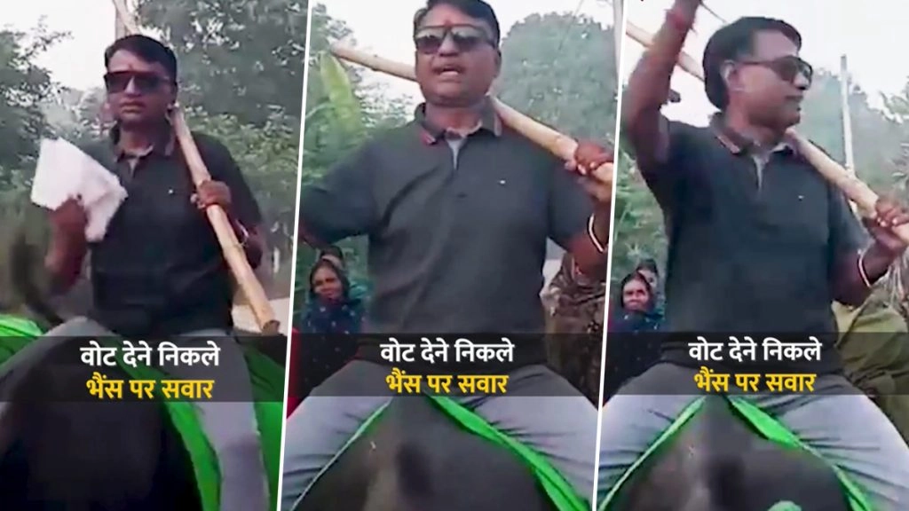 बिहार के भगवानपुर में मतदान का अनोखा नजारा, लालू के करीबी नेता भैंस पर सवार होकर पहुंचे वोट डालने
