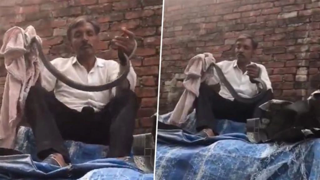 कोबरा के साथ मजाक पड़ा भारी, किसान की कुछ ही मिनटों में मौत; Video