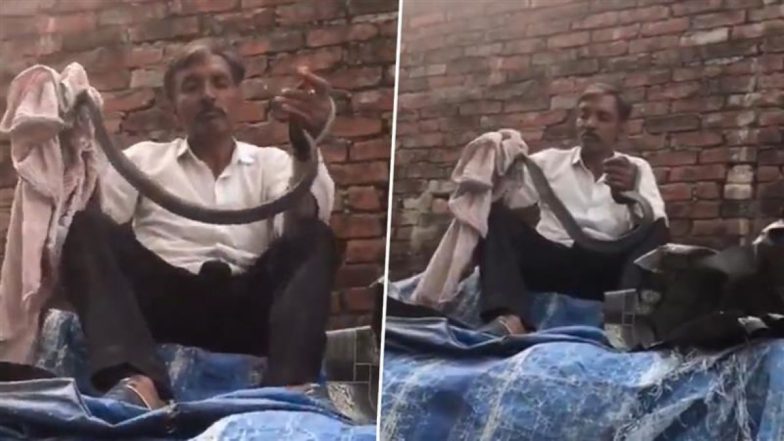 कोबरा के साथ मजाक पड़ा भारी, किसान की कुछ ही मिनटों में मौत, सोशल मीडिया पर VIDEO हुआ वायरल