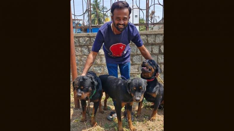 Karnataka Rottweiler Attack: कर्नाटक के दावणगेरे में रॉटवाइलर के हमले से महिला की मौत, कुत्ते का मालिक गिरफ्तार