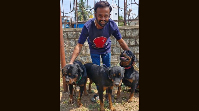 कर्नाटक के दावणगेरे में रॉटवाइलर के हमले से महिला की मौत, कुत्ते का मालिक गिरफ्तार