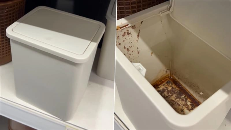 आज का वायरल वीडियो: शोरूम में रखा नया डस्टबिन भी नहीं बचा 'पीक' से, वीडियो ने इंटरनेट पर बटोरीं सुर्खियां