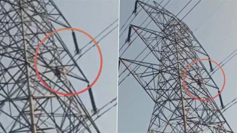MP: शहडोल में गर्लफ्रेंड ने शादी से किया इनकार तो युवक ने किया हंगामा, इलेक्ट्रिक टावर पर चढ़ने का वीडियो वायरल