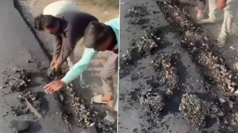 Viral Video: एक दिन पहले बनी डामर की सड़क को लोगों ने हाथ से उखाड़ा, घटिया निर्माण पर ग्रामीणों ने जताई नाराजगी, बाड़मेर के झणकली गांव का वीडियो आया सामने