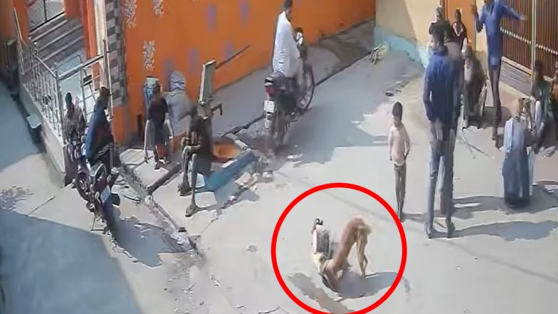 Bijnor Dog Attack: यूपी के बिजनौर में आवारा कुत्ते का आतंक, बच्चे पर हमला कर किया घायल, चीखते-चिल्लाते मासूम का VIDEO आया सामने