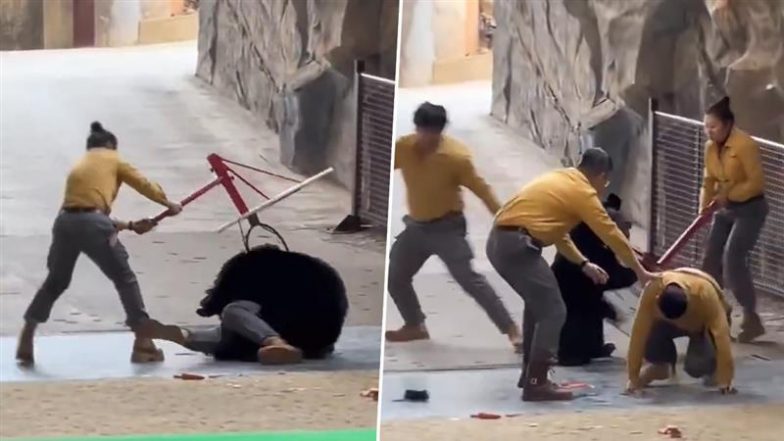 Bear Attack in China: चीन में सफारी शो के दौरान भालू ने ट्रेनर को जमीन पर पटका, खौफनाक वीडियो वायरल