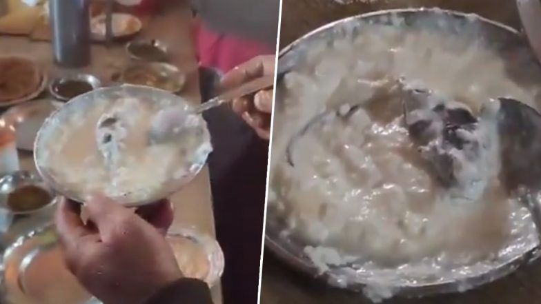 Dead Rat Found in Curd: ग्राहकों के दही से निकला मरा हुआ चूहा, गाजीपुर में बड़ी लापरवाही आई सामने, प्रशासन ने किया ढाबा सील: VIDEO