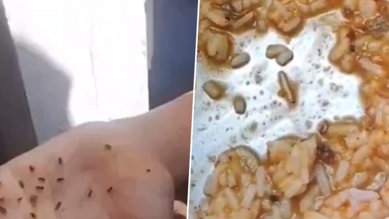 Worms Found In Mid-Day Meal: कर्नाटक में स्कूल के बच्चों की सेहत से खिलवाड़! मिड-डे मील के खाने में मिले कीड़े