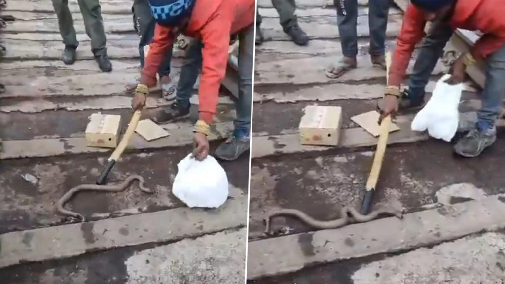 कानपुर रेलवे स्टेशन पर निकला अजगर. कर्मचारी ने किया रेस्क्यू.