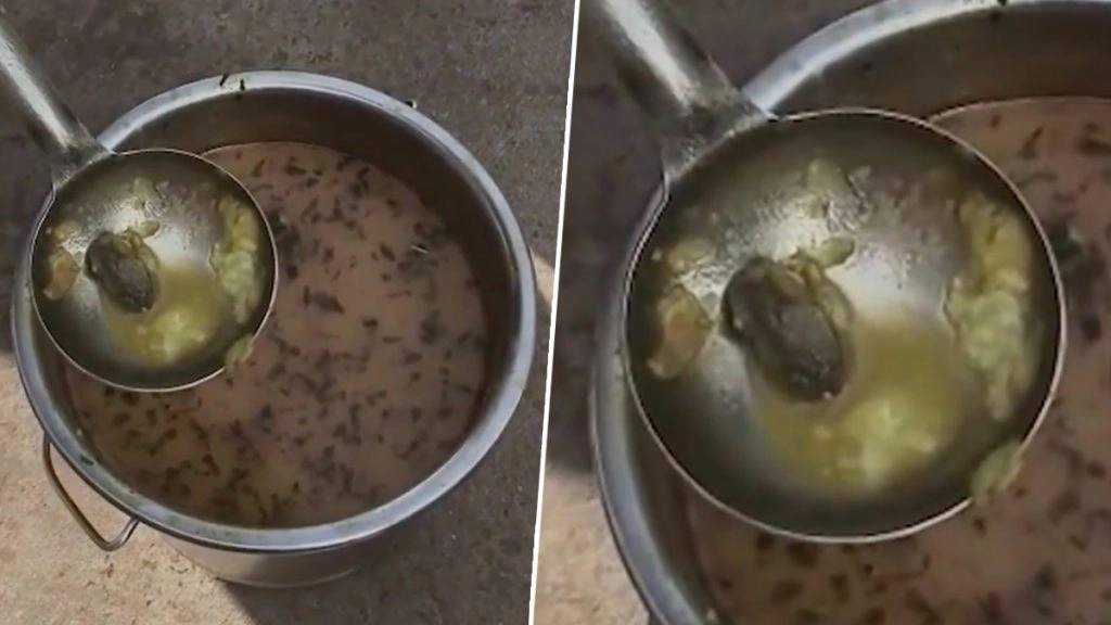 ग्वालियर जिले की स्कूल में मिड -डे -मील के खाने में दिखाई दिया मरा हुआ मेंढक.