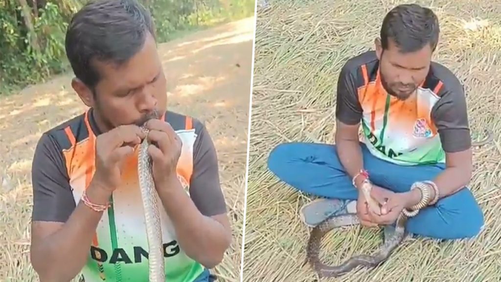 गुजरात के वलसाड में सांप को शख्स ने दिया मुंह से सीपीआर. बचाई सांप की जान.