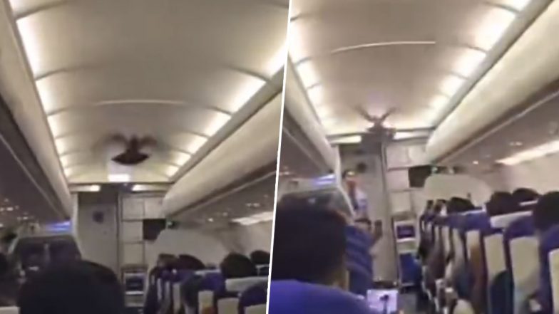 Pigeon in IndiGo Flight: बेंगलुरु से वडोदरा जा रही इंडिगो की फ्लाइट में आया कबूतर, टेक ऑफ से पहले यात्रियों में मची अफरा तफरी: VIDEO