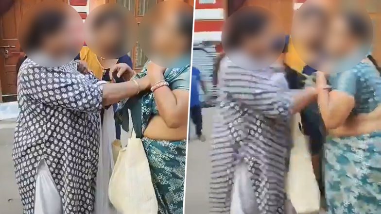 VIDEO: फॉर्म मिलने में हुई देरी से गुस्साई महिला ने BLO की कर दी पिटाई, सड़क पर की बदसलूकी, रायपुर की घटना का वीडियो आया सामने