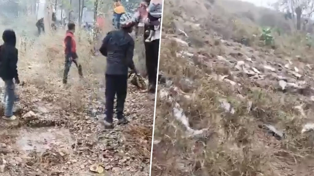 बागपत जिले में मछलियों से भरा कैंटर सड़क पर पलटी हो गया. इस हादसे के बाद आसपास मौजूद लोगों ने जमकर मछलियां लूटी.