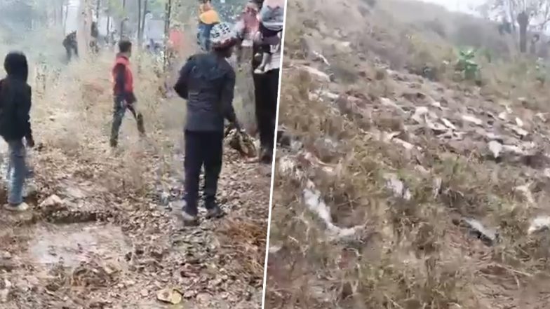 Baghpat: मछलियों से भरा कैंटर हाईवे पर पलटा, आसपास मौजूद लोगों ने जमकर मचाई लूट, बागपत का वीडियो आया सामने: VIDEO