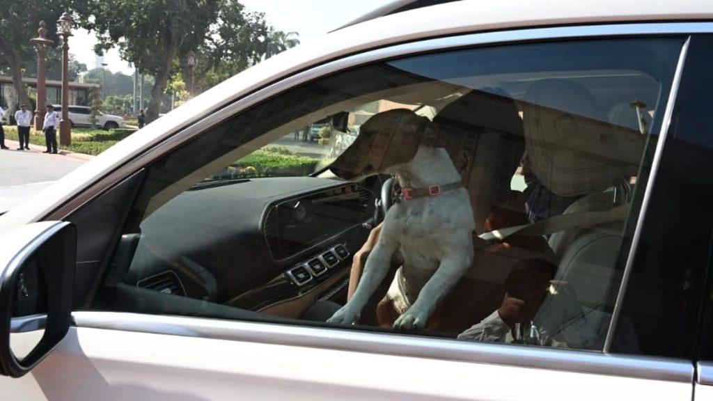 संसद परिसर में कांग्रेस सांसद रेणुका चौधरी कुत्ते को लेकर पहुंची थी संसद परिसर.