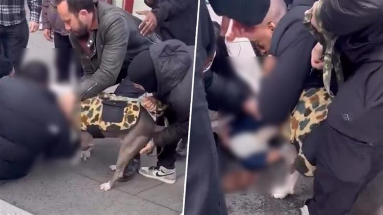 Pit Bull Attacks Toddler: पिटबुल ने 1 साल के बच्चे पर किया हमला, जबड़ा छुड़ाने में छूटे लोगों के पसीने