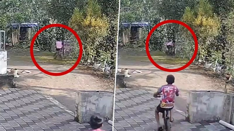 साइक्लिंग हादसे में बड़े भाई ने छोटे भाई को बचाने के लिए जोखिम में डाली अपनी जान, देखें दिल को छू लेने वाला Viral Video