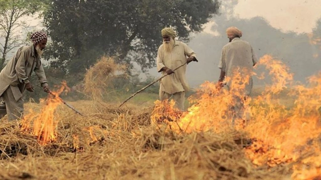Stubble Burning: भारत में पराली जलाने के समय में बदलाव, जानें प्रदूषण की समस्या को लेकर नई वैज्ञानिक चेतावनी