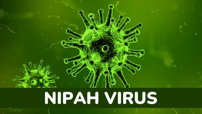 Nipah Virus Outbreak in WB: बंगाल में निपाह वायरस के नए मामले सामने आते ही एशिया में अलर्ट, कई देश के हवाई अड्डों पर कोविड-स्टाइल स्वास्थ्य जांच शुरू