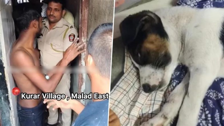 Mumbai Horror: मुंबई के मलाड में रोंगटे खड़े कर देने वाला मामला, 2.5 महीने के पिल्ले के साथ यौन शोषण, पुलिस ने आरोपी को रंगे हाथ पकड़ा; VIDEO