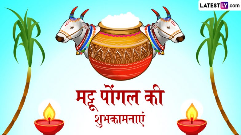 Mattu Pongal 2026 Wishes: मट्टू पोंगल के इन हिंदी WhatsApp Stickers, GIF Greetings, Wallpapers, HD Images के जरिए दें शुभकामनाएं